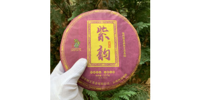  Что такое Шу пуэр?